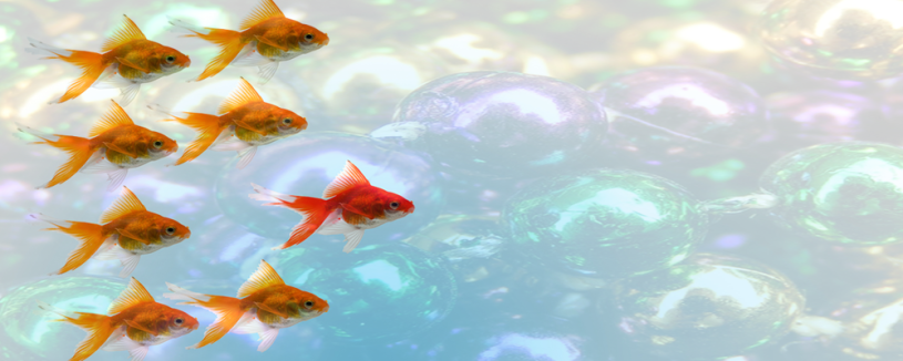 february-featured-image
